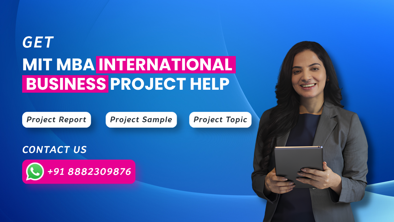 MIT MBA International Business Project Report