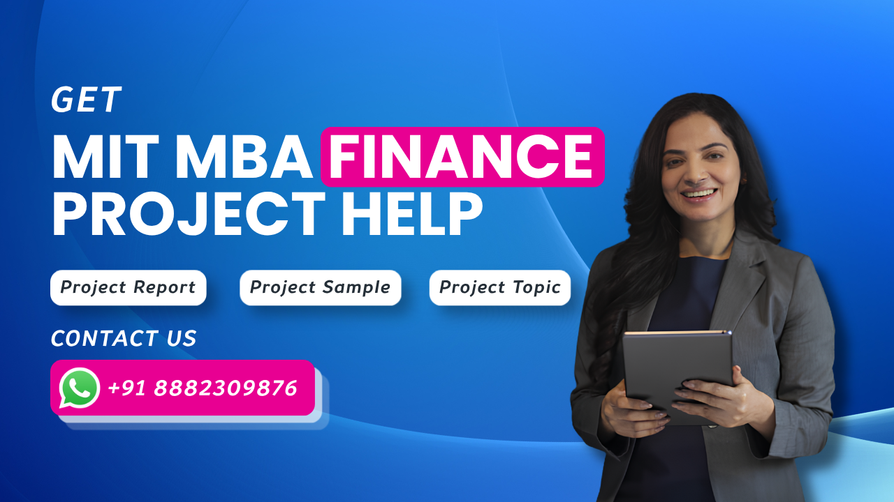 MIT MBA Finance Project Report